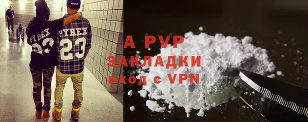гидра Абаза