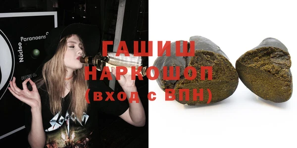 гидра Абаза