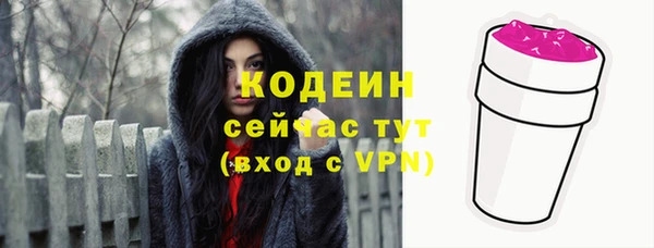 гидра Абаза