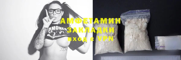 гидра Абаза