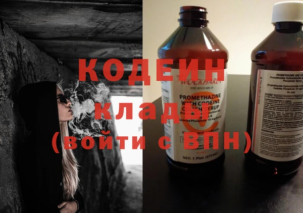 гидра Абаза