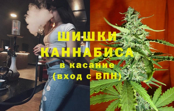 гидра Абаза
