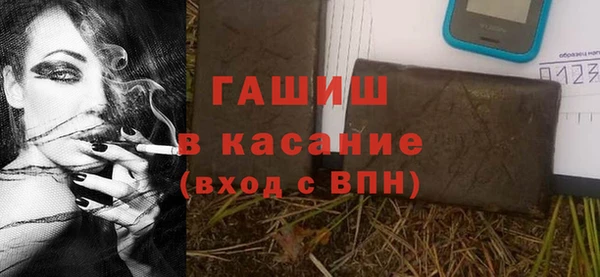 гидра Абаза