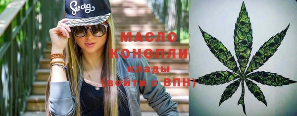 гидра Абаза
