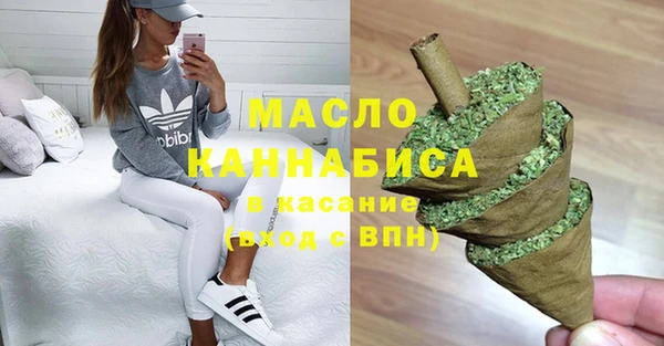 гидра Абаза