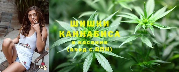сатива Абдулино