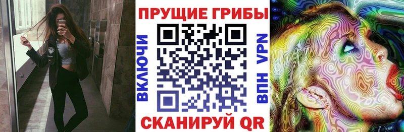 маркетплейс наркотические препараты  что такое   Уржум  Галлюциногенные грибы мухоморы 